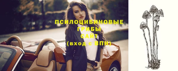 ГАЛЛЮЦИНОГЕННЫЕ ГРИБЫ Абаза