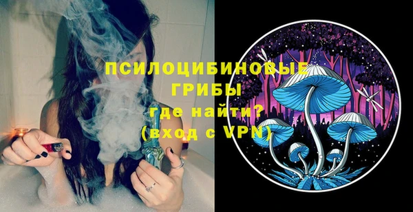 ГАЛЛЮЦИНОГЕННЫЕ ГРИБЫ Абаза