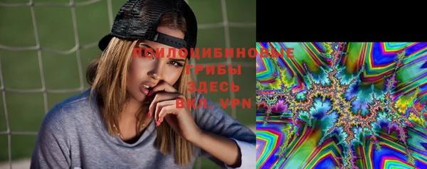 СК Абдулино