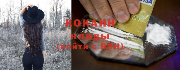 ГАЛЛЮЦИНОГЕННЫЕ ГРИБЫ Абаза